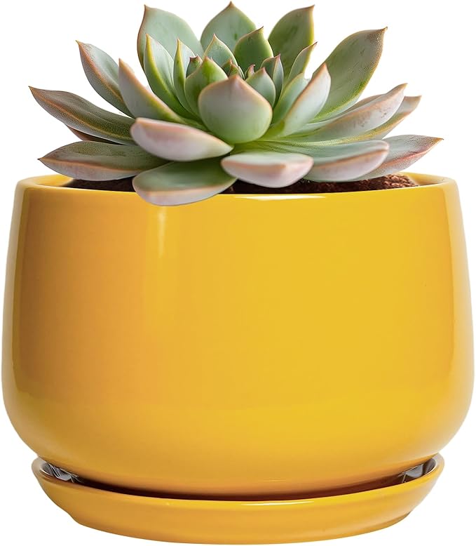 G EPGardening Ceramic Plant Pot - 6 Inch Ceramic Planter with Drainage Hole and Tray, Modern Round Planter, Flower Pot for Indoor Outdoor Plants, Plants Lovers Gifts, House Garden Decor, Yellow GEPGardening