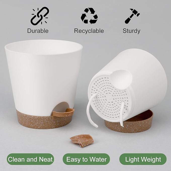Indoor Self Watering Planters with Drainage Holes and Saucers, 8, 7, 6.5, 6, 5.5, 5 Inches, White, 6 Pots AFamilyofGardenLovers