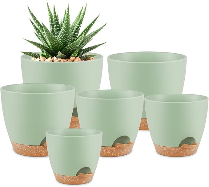 Plant Pots 8/7/6.5/6/5.5/5 Inch Self Watering Pots, Set of 6 Plastic Planters with Drainage Holes and Saucers,Plastic Flower Pots,Nursery Planting Pot for Indoor Out Door Plants（Green） QRRICA