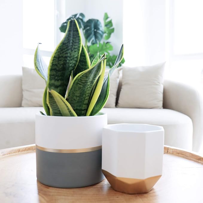 LA Jolie Muse White Ceramic Flower Pot Garden Planters 6.7 Inch Pack 2 Indoor Plant Containers with Gold and Grey Detailing LaJol%C3%ADeMuse