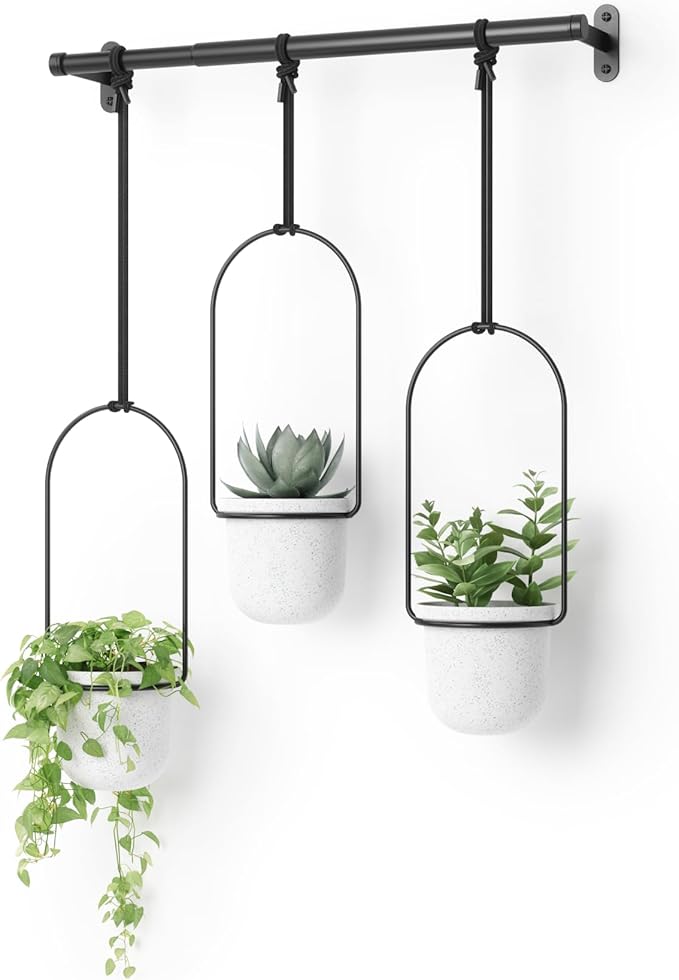 Umbra Triflora Hanging Planter for Window, Indoor Herb Garden, Set of 3, White/Black Umbra