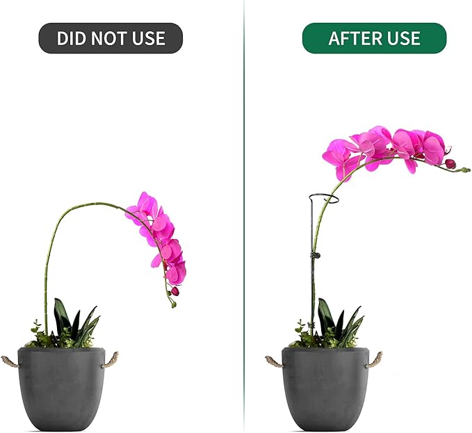 12 Pack Plant Support Stakes with 24 Pcs Plant Clips, Garden Single Stem Support Stake, Plant Cage Support Ring for Indoor Outdoor Flowers Rose Amaryllis Tomatoes Peony Lily Orchid (16 Inch) Auaok