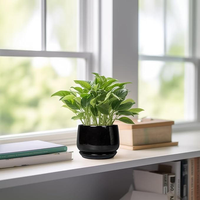 G EPGardening Small Ceramic Planter - 4 Inch Succulent Pots with Drainage Hole & Sacuer, Flower Pots for Indoor Outdoor Plants, Modern Decorative Round Planter, Room Decor, House Warming Gifts, Black GEPGardening