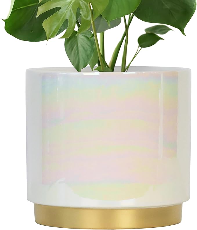 Gepege White Indoor Plant Pots for Plants, Large Ceramic Planter with Drainage Hole, 9.6-inch Succulent Orchid Flower Pot - Rainbow Pearl Glaze Gepege