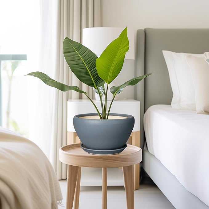 Ceramic Pots for Plants - 9 Inch Planter for Outdoor Plants Large Plant Pot Indoor with Drainage Hole and Saucer Decorative Modern Flower Pot for Home Garden Decor Gray Ceramicfor