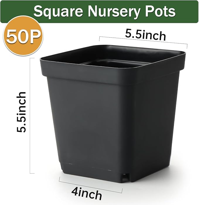BTPLASTIK Square Nursery Pots 5.5 Inch, 50Pcs Plastic Sturdy Reusable Seedling Pots with Drainage Holes, Garden Flower Planters for Indoor/Outdoor, Transplanting, Succulents, Cuttings, Black BTPLASTIK