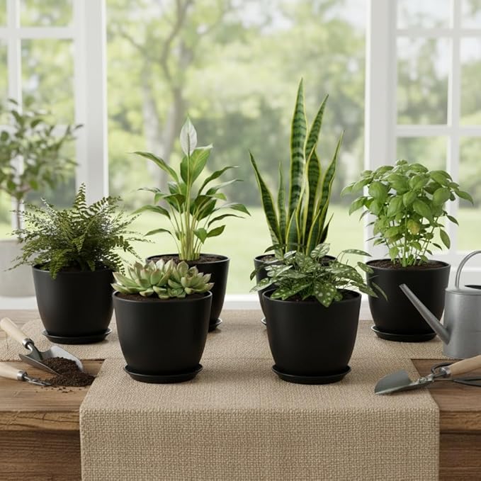 Plant Pots 8 Inch Set of 6, Flower Pots with Drainage Holes and Saucer, Plastic Garden Planters for Indoor & Outdoor Plants (Black) Vanslogreen