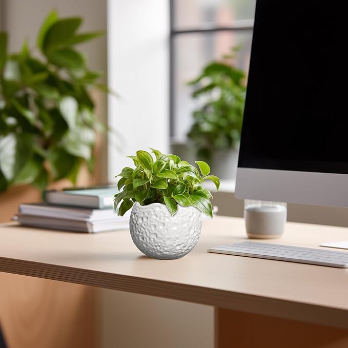 4 inch Plant Pots - Ceramic Pots for Plants with Drainage Hole, Small Planter for Indoor Outdoor, Unique Succulent Pot, Decorative Modern Round Planter, Desk Decor, Plant Lover Gifts, White Thirtypot