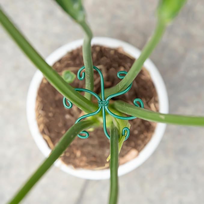 Monstera Plant Stem Support - Set of 5 Sturdy Indoor Support Sticks for Monstera & Climbing Plants - Essential Growth Stabilizers for Leaf Support - Easy-to-Use Gardening Accessories Yohsnor
