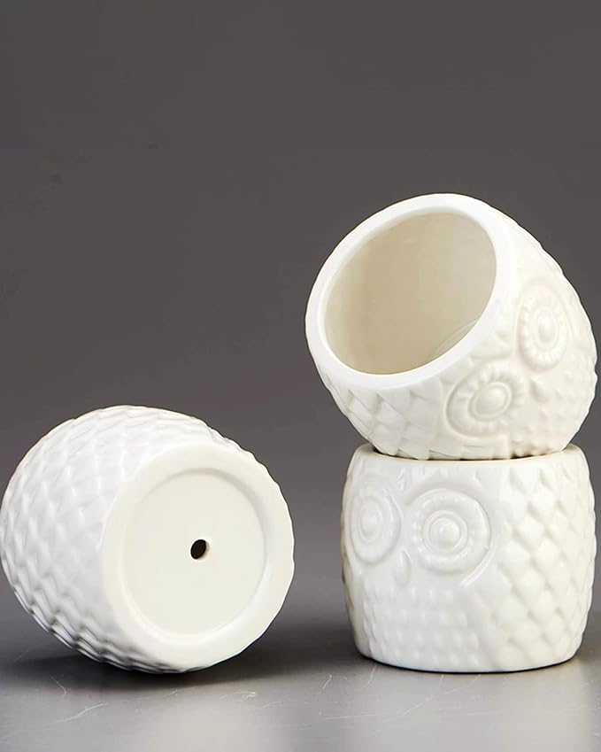 FLOWERPLUS Planter Pots Indoor, 3 Pack 3 Inch White Ceramic Decorative Small Owl Succulent Cactus Flower Plant Pot with Tree Tier Bamboo Stand for Garden Kitchen Home Office Desk Decorations Flowerplus