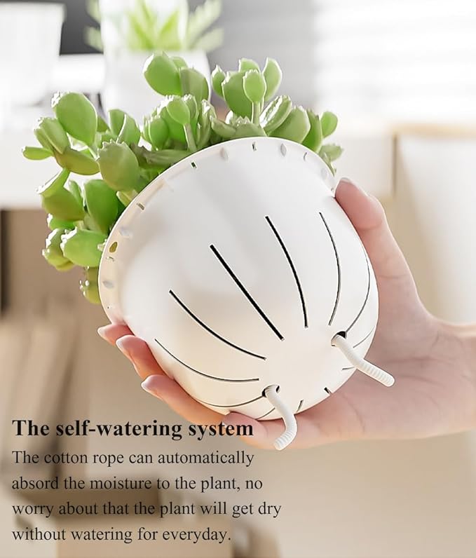 Self Watering Pots for Indoor Plants, Flower Pots, Self Watering Plant Pot-6pcs 4inch Clear Etvski