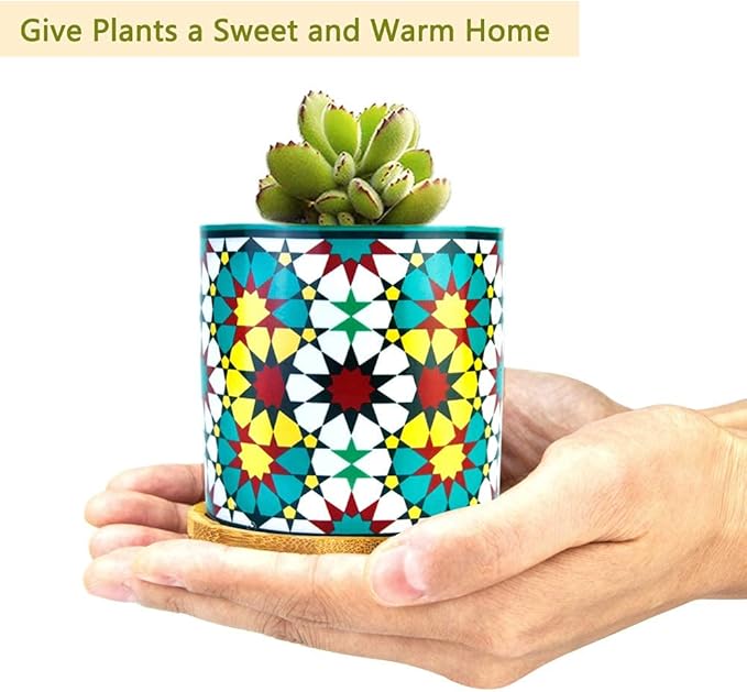 6 Pack Mandala Succulent Plant Pot with Bamboo Trays, Ceramic Multicolored Succulent Container Planter Pot for Small Plant Ascrafter