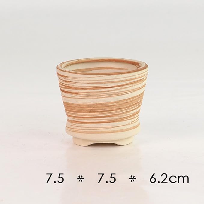 Sun-E 6 in Set 7.6 cm Ceramic Wooden Pattern Succulent Plant Pot Cactus Plant Pot Flower Pot Container Planter Gift Idea SUN-E+SE