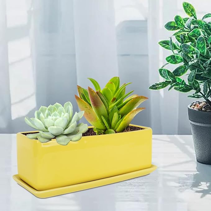 Vencer 12 Inch Rectangular Modern Minimalist Ceramic Succulent Planter Pot - Window Box with Saucer,Office Desktop Potted Stand,Yellow,VF-0135Y Vencer