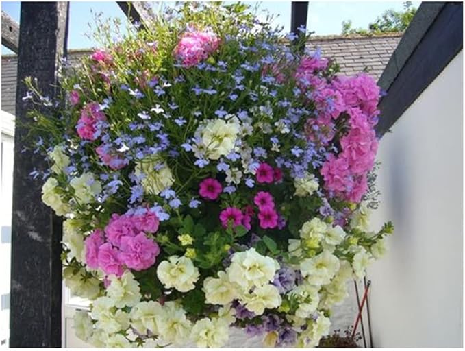 Ultimate Hanging Baskets - Strawberry, Tomato, Flower, and Herb Outdoor Planters - Use Garden Pots for Growing Plants Outside On A Deck, Fence, or Balcony (2) SmartSpring
