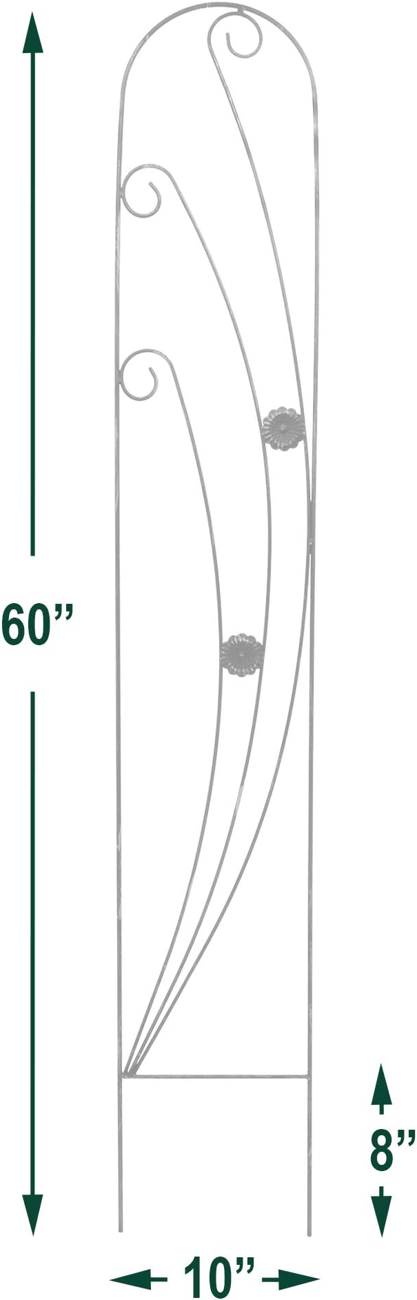 TR08 Phoenix Trellis 5' x 10", Black Rootora