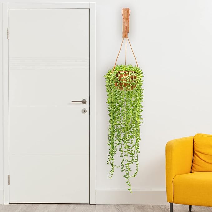 7-Inch Hanging Plant Brackets, Arc-Shaped Wooden Plant Hanger Indoor, Wall Mount Hooks for Outdoor Hanging Bird Feeders, Flower Baskets Pots, Wind Chimes, Lanterns DSJIFGEW