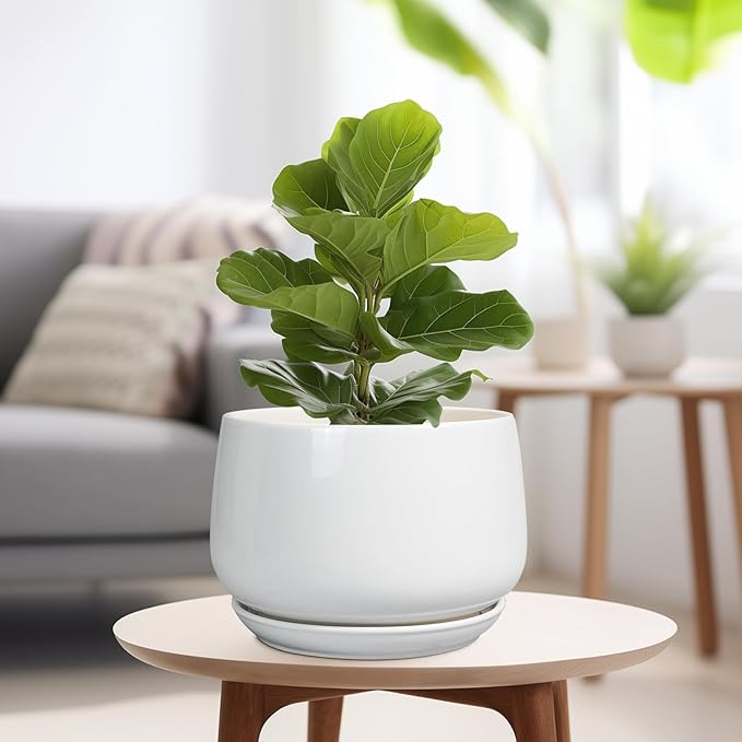 G EPGardening Ceramic Planter 9 Inch - Plant Pots with Drainage and Ceramic Saucer, Flower Pots for Indoor Plants, Modern Outdoor Planter, Living Room Decor, Gifts for Plant Lovers, White GEPGardening
