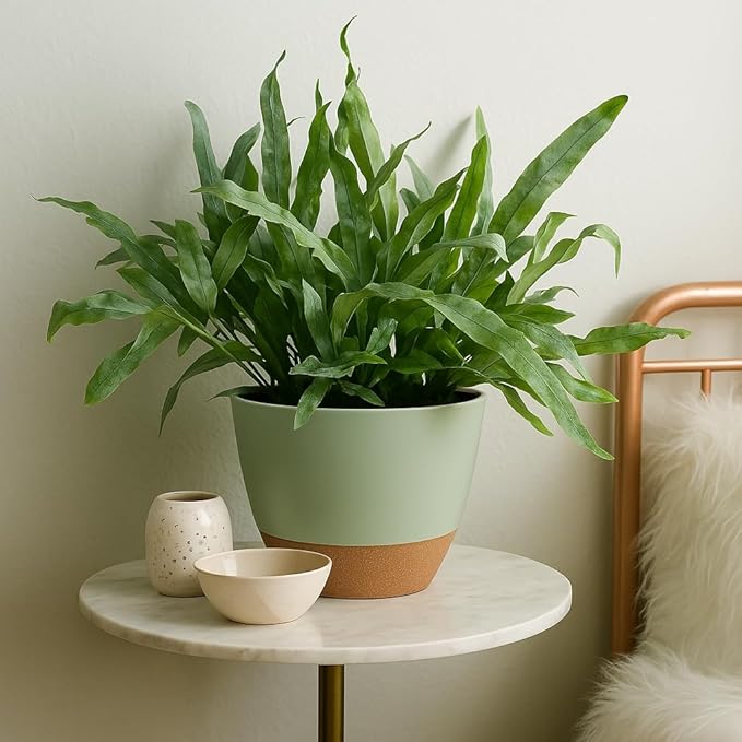 Plant Pots 12/10/9 inch Set of 3, Self Watering Flower Pots Indoor Outdoor, Planters with Drainage Hole Saucer Reservoir, Green TYMENSH