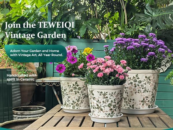 Ceramic Planter with Drainage Hole, Plastic Tray & Mesh, 6 Inch - Indoor/Outdoor Flower Pot for Orchids, Succulents, Green Floral Modern Farmhouse Décor for Home,Office and Garden, Ideal Gift TEWEIQI