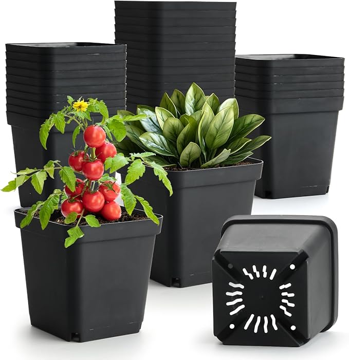 BTPLASTIK Square Nursery Pots 5.5 Inch, 50Pcs Plastic Sturdy Reusable Seedling Pots with Drainage Holes, Garden Flower Planters for Indoor/Outdoor, Transplanting, Succulents, Cuttings, Black BTPLASTIK