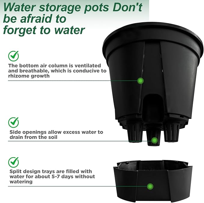 Cdd's Path 5-Pack 6 Inch Naked Root Planter Self Watering Pots Set with Holes for Indoor/Outdoor Plants, Planter Pot with Watering Hole/Reservoir and Air Pipes, Black Rootora