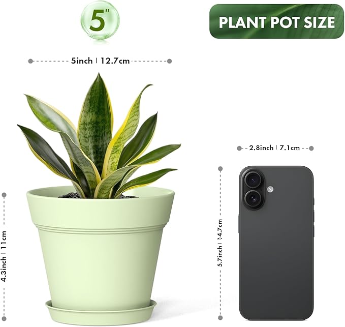 5 Inch Plastic Plant Pots with Drainage Holes and Trays – 6 Pack Small Nursery Pots for Indoor & Outdoor House Plants and Flowers, Seedling Starter Planters, Colorful WSMKSZ