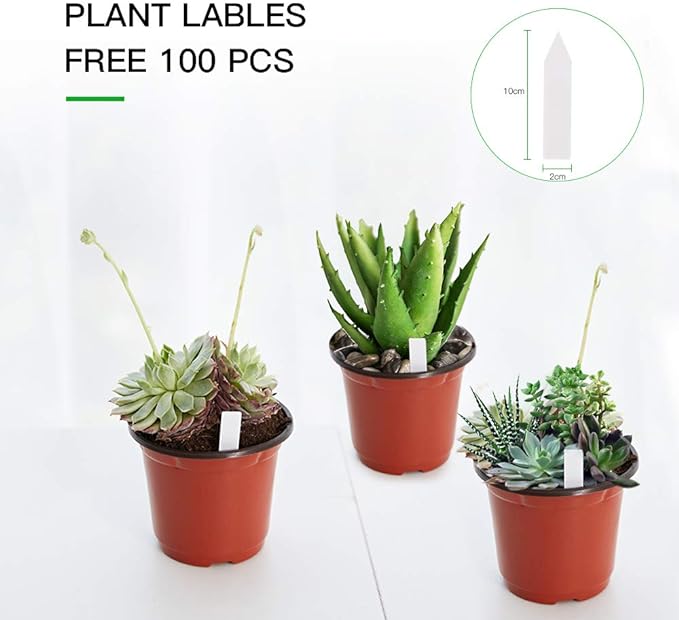 JERIA 100-Pack 6 Inch Plastic Nursery Pots Come with 100 Pcs Labels, Seedling Flower Plant Container and Seed Starting Pots JERIA
