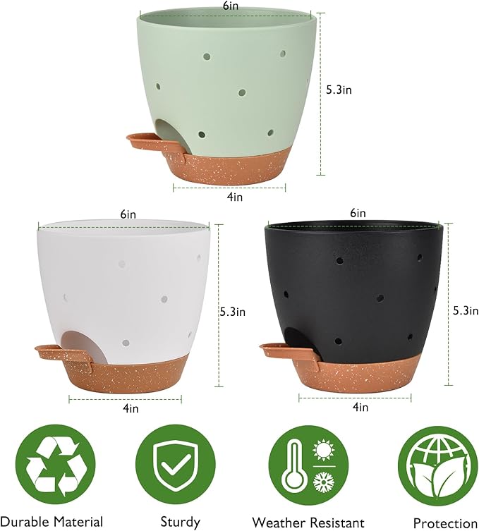 6 Inch Orchid Pots with Holes, 3 Pack Self Watering Planters for Orchids Plastic Orchid Pot Plant Flower Pots for Orchids Indoor Outdoor (Multicolor) Vanslogreen