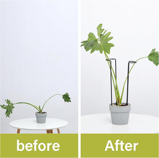 10-Pack Monstera Plant Support - 12 Inch Durable Iron U-Shaped Trellis Stakes for Indoor & Outdoor Medium-Sized Potted Plants - Perfect Stem Holder for Monstera & More Goooxim