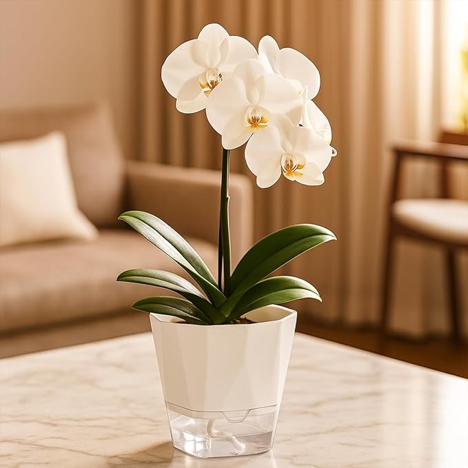 6 Pack Self Watering Pots for Indoor Plants, 5 Inches Self Watering Planters Small African Violet Self Watering Clear Pots for Plants Herb Orchid Flower Houseplant Pots, White Planterhoma