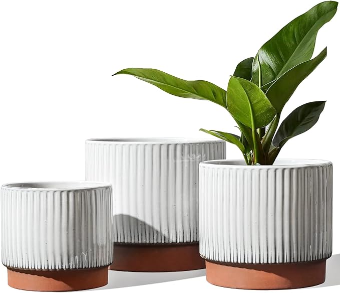 LE TAUCI Ceramic Pots for Plants, 8+6.7+5.5 Inch Plant Pots Indoor, Flower Pot with Drainage Holes, Medium Cylinder Planters for Indoor House Plants, Set of 3, Reactive Glaze White LETAUCI