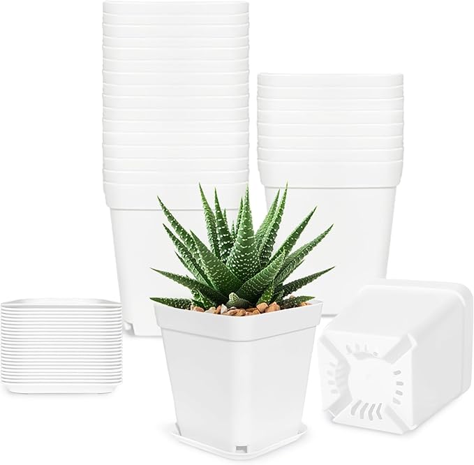 Anyumocz 24Pcs 3" Square Plastic Plant Pots,White Nursery Pots with Saucers,Seedling Nursery Transplanting Planter Container for Plants,Garden,Flower,Home,Office,Balcony Decor,Indoor,Outdoor Anyumocz