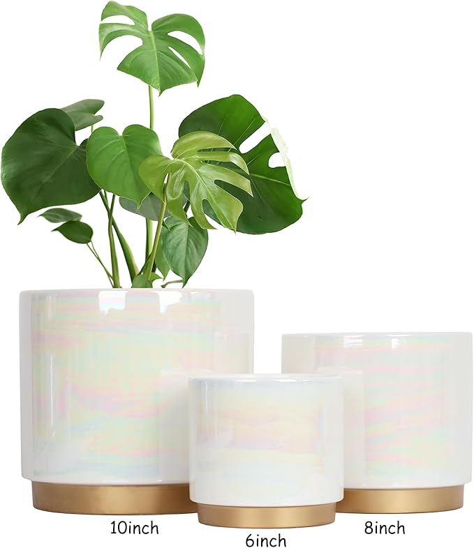 Gepege White Indoor Plant Pots for Plants, Ceramic Planter with Drainage Hole, 7.6 Inch +6 Inch 2pcs Succulent Orchid Flower Pot - Rainbow Pearl Glaze Gepege