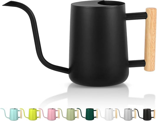 Plant Watering Can,35oz Metal Watering Can,Stainless Steel Indoor Plants with Long Curved Spout,Small Bonsai Outdoor Garden Modern Decorative(Black) GUKJOB