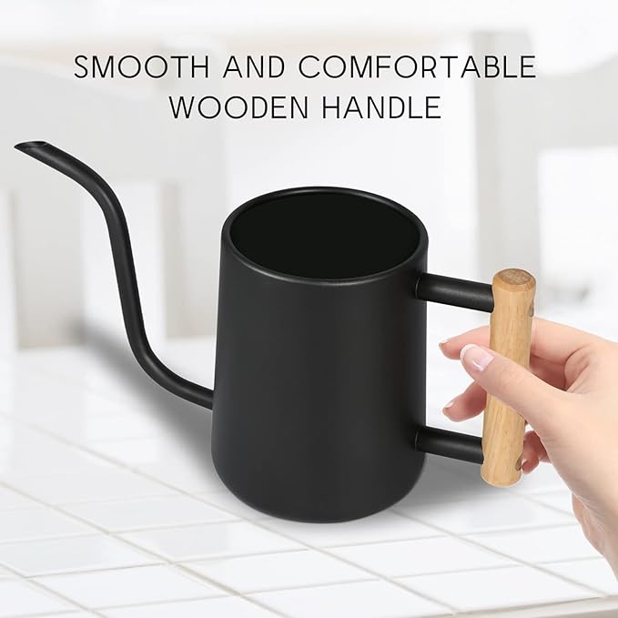Watering Can for Indoor Plants, 35 oz/1000 ml Metal Stainless Steel Pot with Long Spout for House Plants Bonsai Outdoor Garden Flower Decorative (Black) Rootora