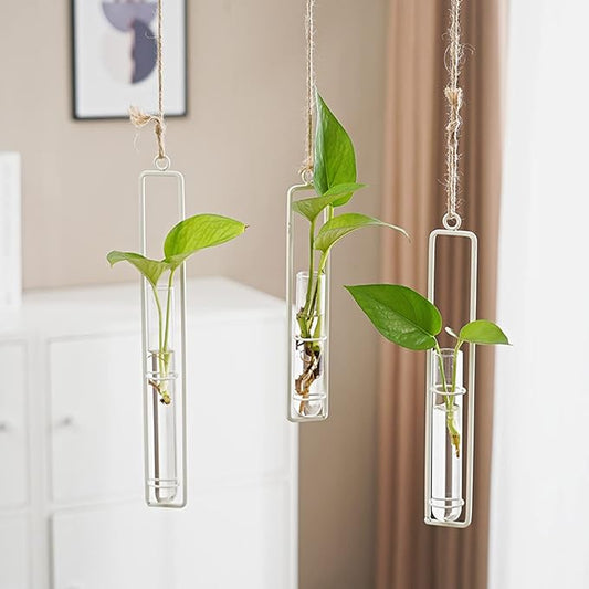3 Pieces Hanging Plant Glass Test Tubes Hydroponic Vase Planters Wall-Mounted Terrarium Container for Indoor Outdoor Home Decoration (White) AQRICHFOX