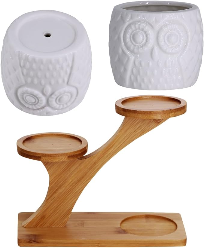 3pcs Owl Succulent Pots with 3 Tier Bamboo Saucers Stand Holder - White Modern Decorative Ceramic Flower Planter with Drainage - Home Office Desk Garden Mini Cactus Plant Pot Indoor Decoration Winlyn
