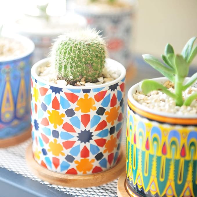 6 Pack Mandala Succulent Plant Pot with Bamboo Trays, Ceramic Multicolored Succulent Container Planter Pot for Small Plant Ascrafter