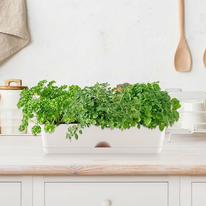 6 Pack Rectangle Planter 16x4.4 Inch Window Boxes Planters Rectangular Large Window Sill Planters Indoor Self Watering Plant Pots with Drainage Holes and Saucers Succulent Herb Flower Pots, Light Grey KvyusFlourish