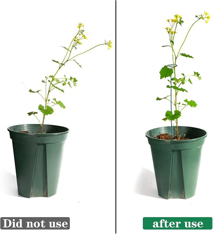 4 Pack Plant Stakes,Plant Support Stakes for Two Sizes(16 or 32 Inches),Plant Stakes for Outdoor Plants,Garden Flower,Tomato(Green) PFNRTH
