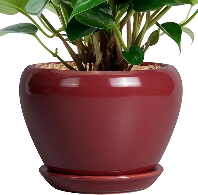 Ceramic Pot for Plants - 6 Inch Plant Pot Indoor with Drainage Hole and Saucer Succulent Outdoor Planter Round Flower Pot for House Patio Decor Red Ceramicfor