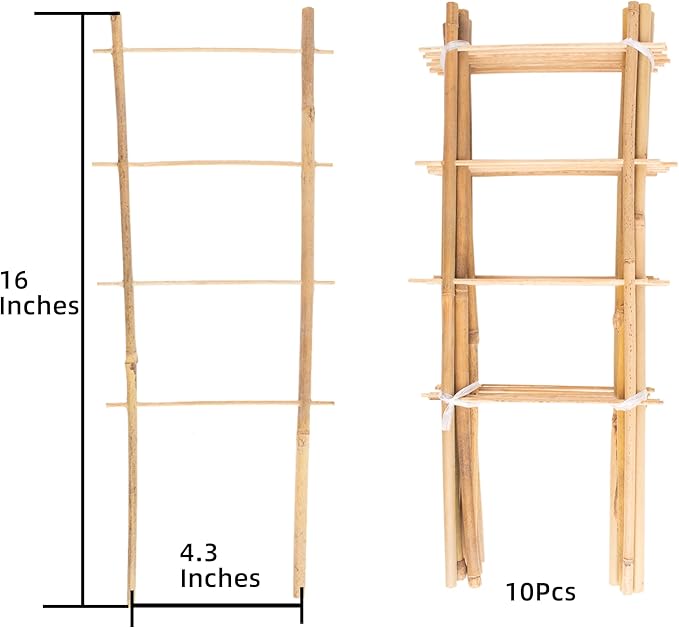 Avalution 10 Pack Natural Bamboo Trellis for Climbing Plants 16" Outdoor Garden Ladder Trellis, Fan -Shaped Plant Support Trellis for Potted Plant Avalution