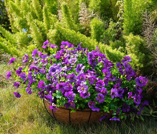 Artificial Flowers for Outdoor, UV Resistant Fake Silk Flowers, Realistic Faux Plants for Outside Indoor Porch Patio Window Box Planter Home Decor (14, Purple) Welcometothetrytuny