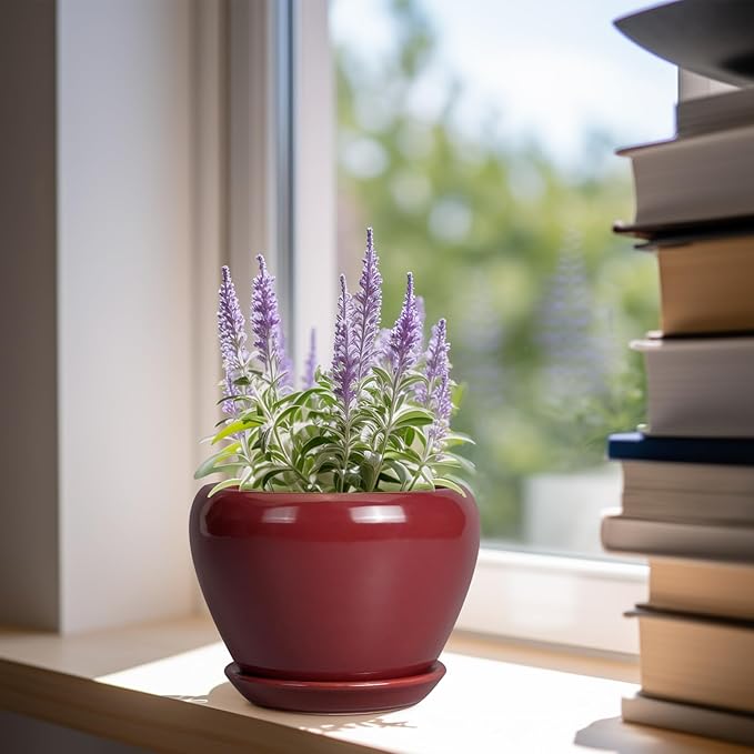 Ceramic Pot for Plants - 6 Inch Plant Pot Indoor with Drainage Hole and Saucer Succulent Outdoor Planter Round Flower Pot for House Patio Decor Red Ceramicfor