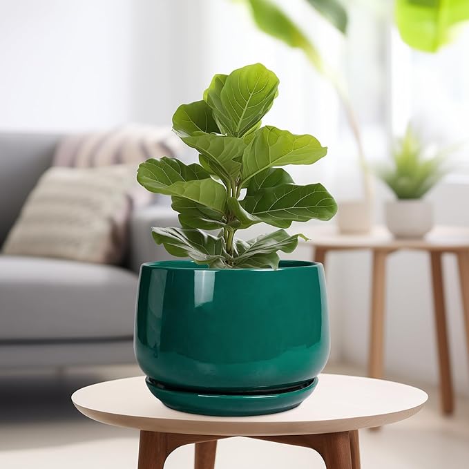 G EPGardening Ceramic Pots for Plants - 9 Inch Ceramic Planter for Indoor Plants, Round Planter with Drainage and Saucer, Modern Flower Pots for Outdoor, House Decor, Garden Gifts, Green GEPGardening
