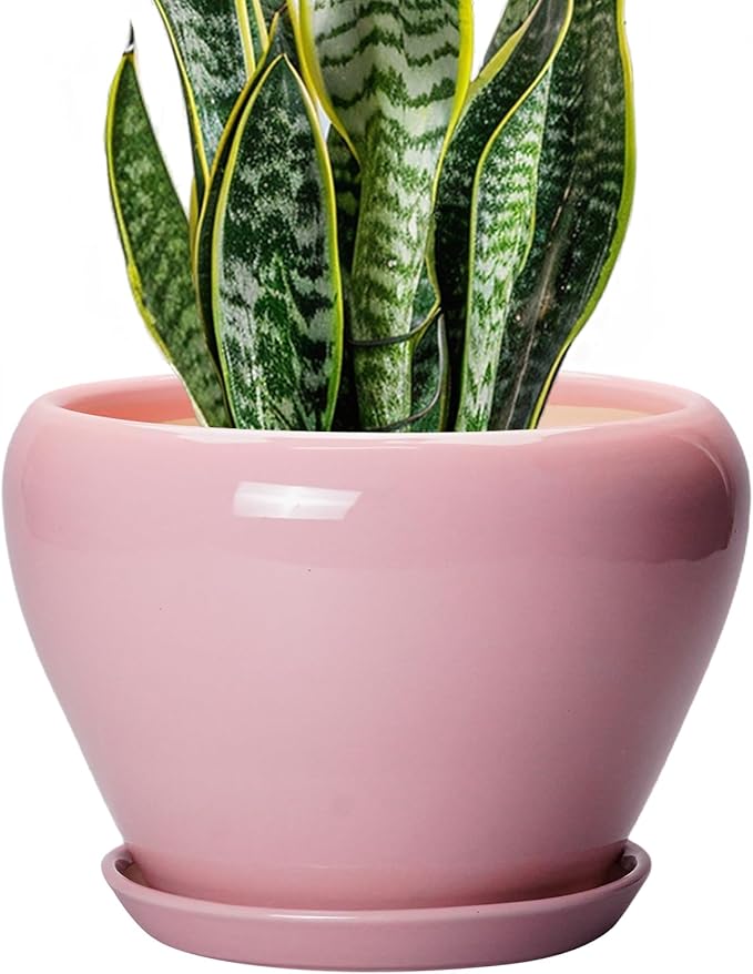 Ceramic Modern Glaze Succulent Planter Pot with Drainage Hole and Saucer 8 Inch Round Flower Plant Pot for Indoor Outdoor Herb Snake Plants, Pink Ceramicfor