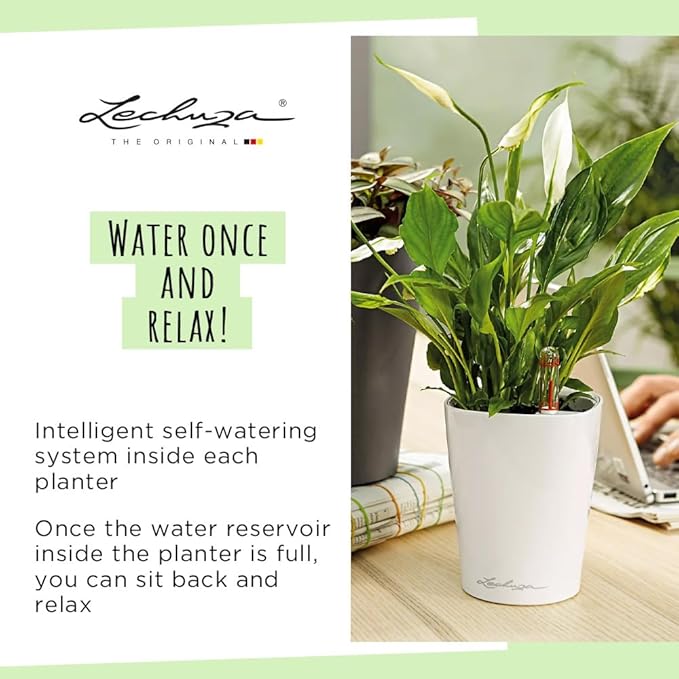 Lechuza 14900 Deltini Self-Watering Planter for Indoor and Outdoor Use, 6" x 6" x 7", White LECHUZA