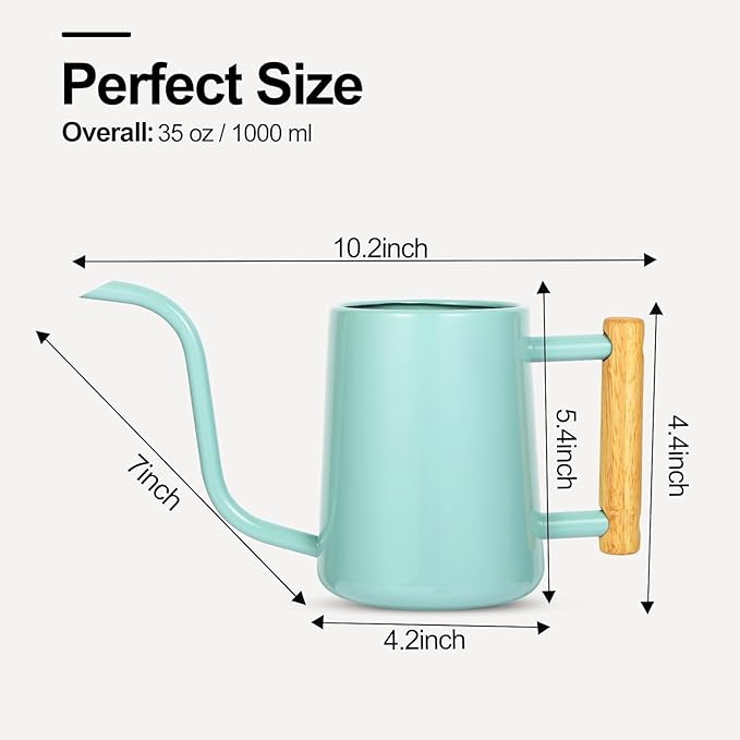 Watering Can Indoor Plants, 35 oz/1000 ml Metal Stainless Steel Watering Can Pot with Long Spout for Indoor House Plants Bonsai Outdoor Garden Flower Decorative (Green Rootora