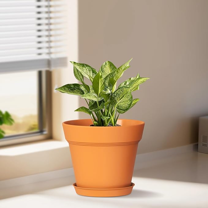 6 Inch Thick Plastic Plant Pots with Drainage Holes and Trays – 6 Pack Nursery Pots for Indoor & Outdoor House Plants, Seedling Starter Planters for Garden Flowers, Terracotta WSMKSZ